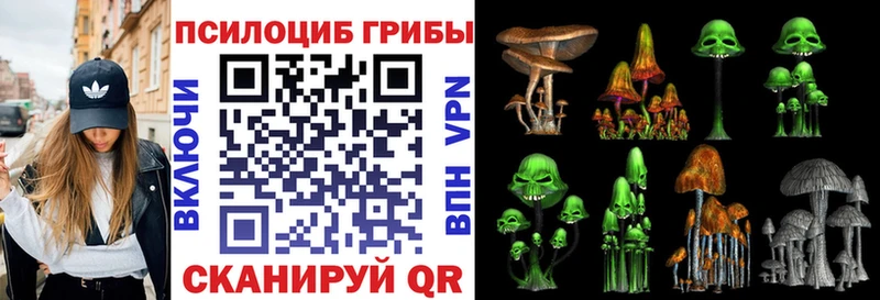купить  сайты  Фурманов  Галлюциногенные грибы мицелий 